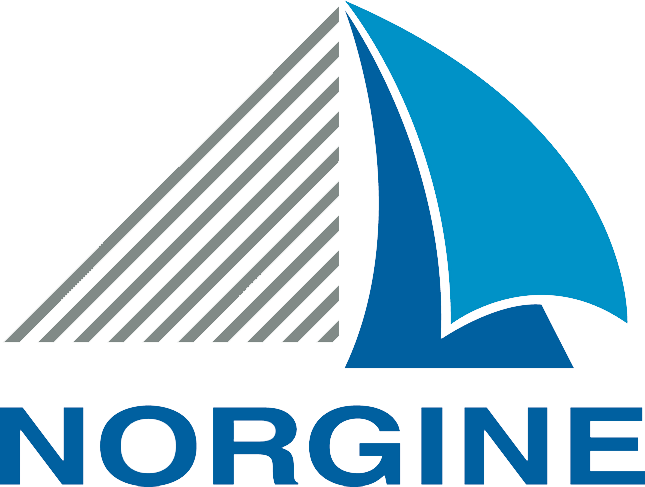 logo Norgine