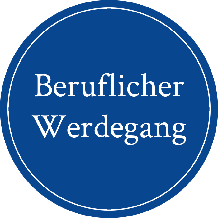 beruflicherwerdegang