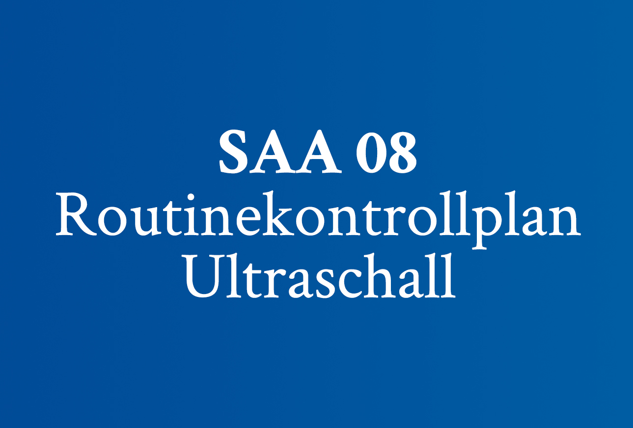 SAA 08 Routinekontrollplan Ultraschall